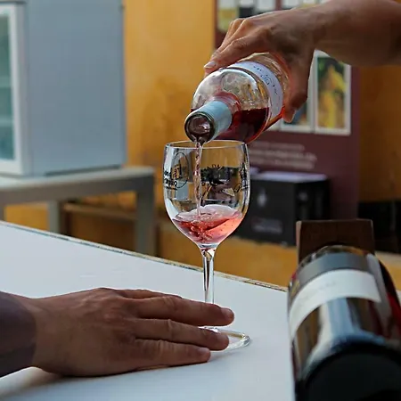 Apartment Edificio Sol Matos